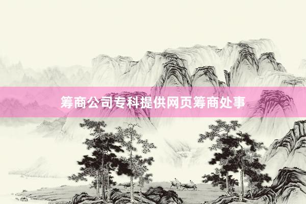 筹商公司专科提供网页筹商处事