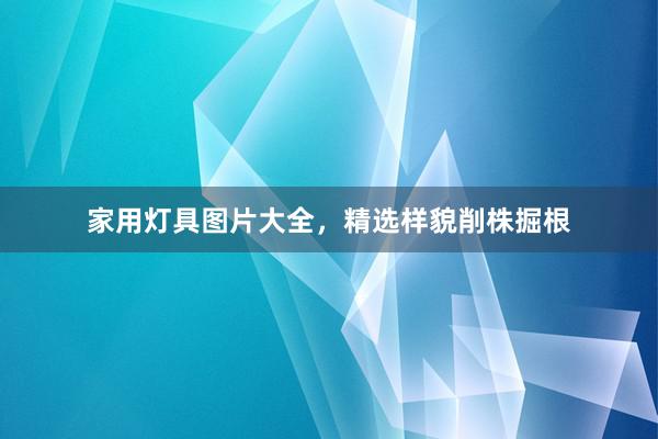 家用灯具图片大全，精选样貌削株掘根