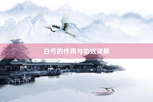 白芍的作用与功效详解