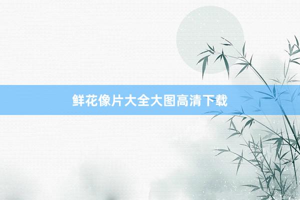 鲜花像片大全大图高清下载