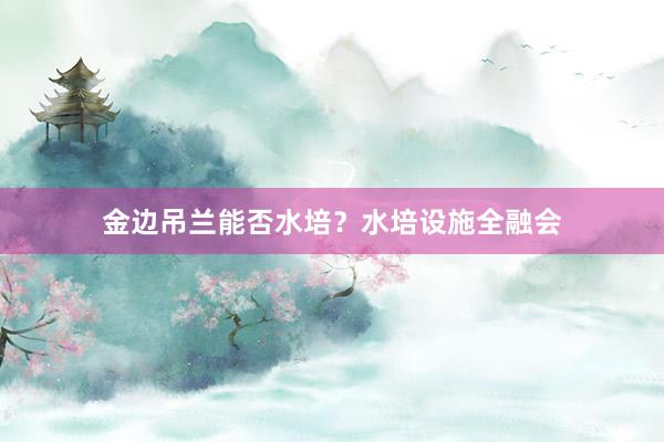 金边吊兰能否水培？水培设施全融会
