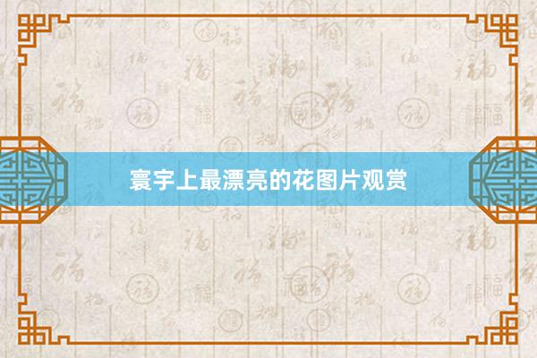 寰宇上最漂亮的花图片观赏